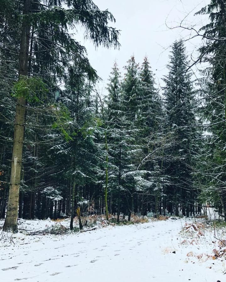 Beskid Wood Houses Jasnowice Bagian luar foto