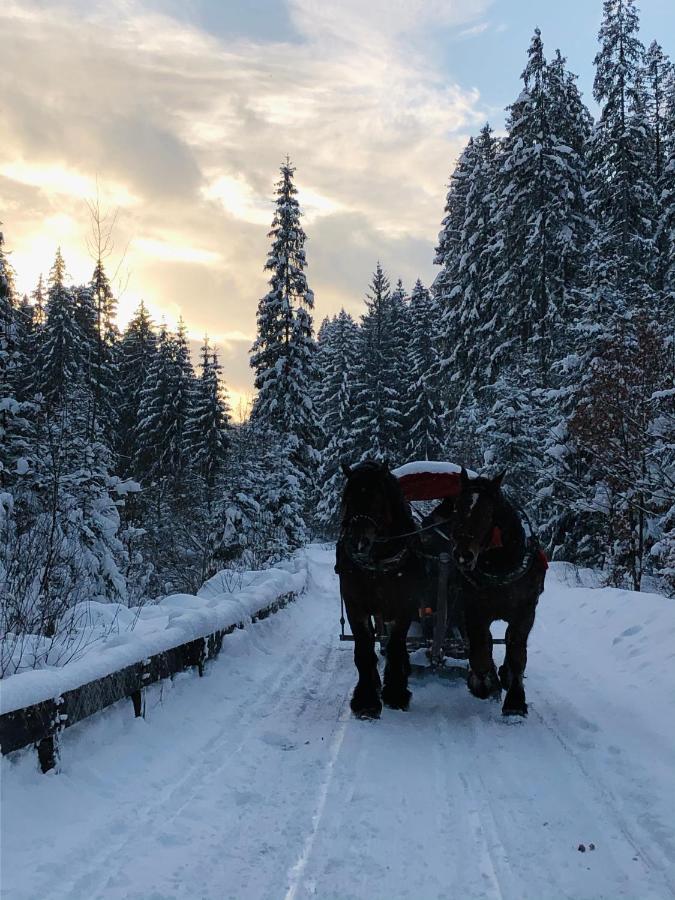 Beskid Wood Houses Jasnowice Bagian luar foto